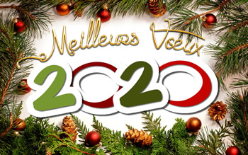 voeux20